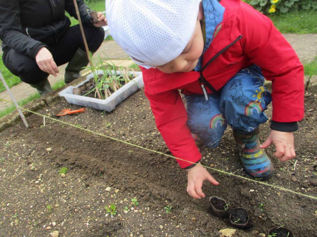 Children planting